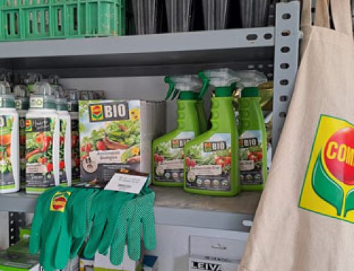 Compo Jardineria col·labora en la recuperació de l’hort escolar de Florida Secundària