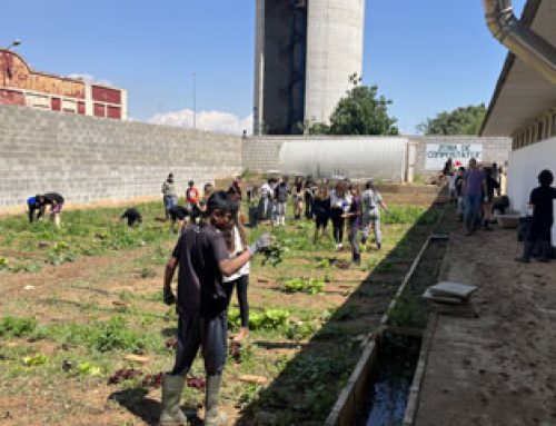 L’hort escolar agafa vida amb l’alumnat de 1r d’ESO